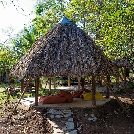 La Choza Playa Venaoホステル エクステリア 写真