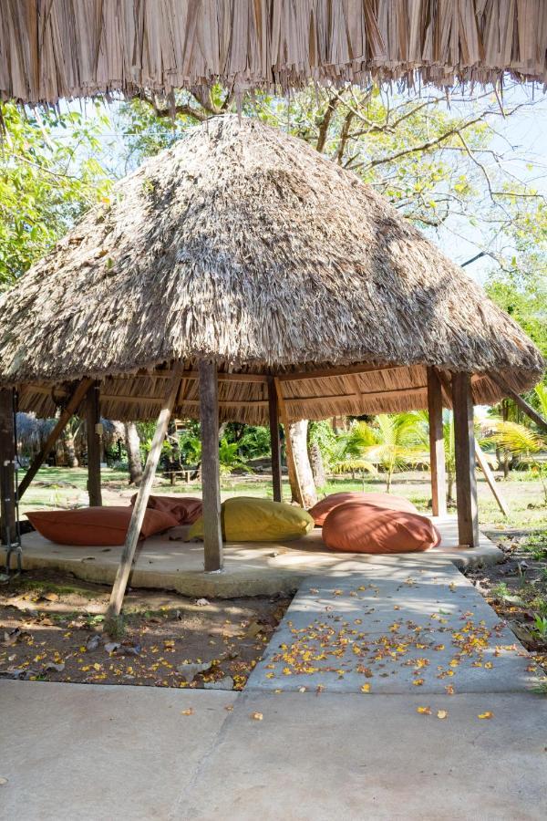 La Choza Playa Venaoホステル エクステリア 写真
