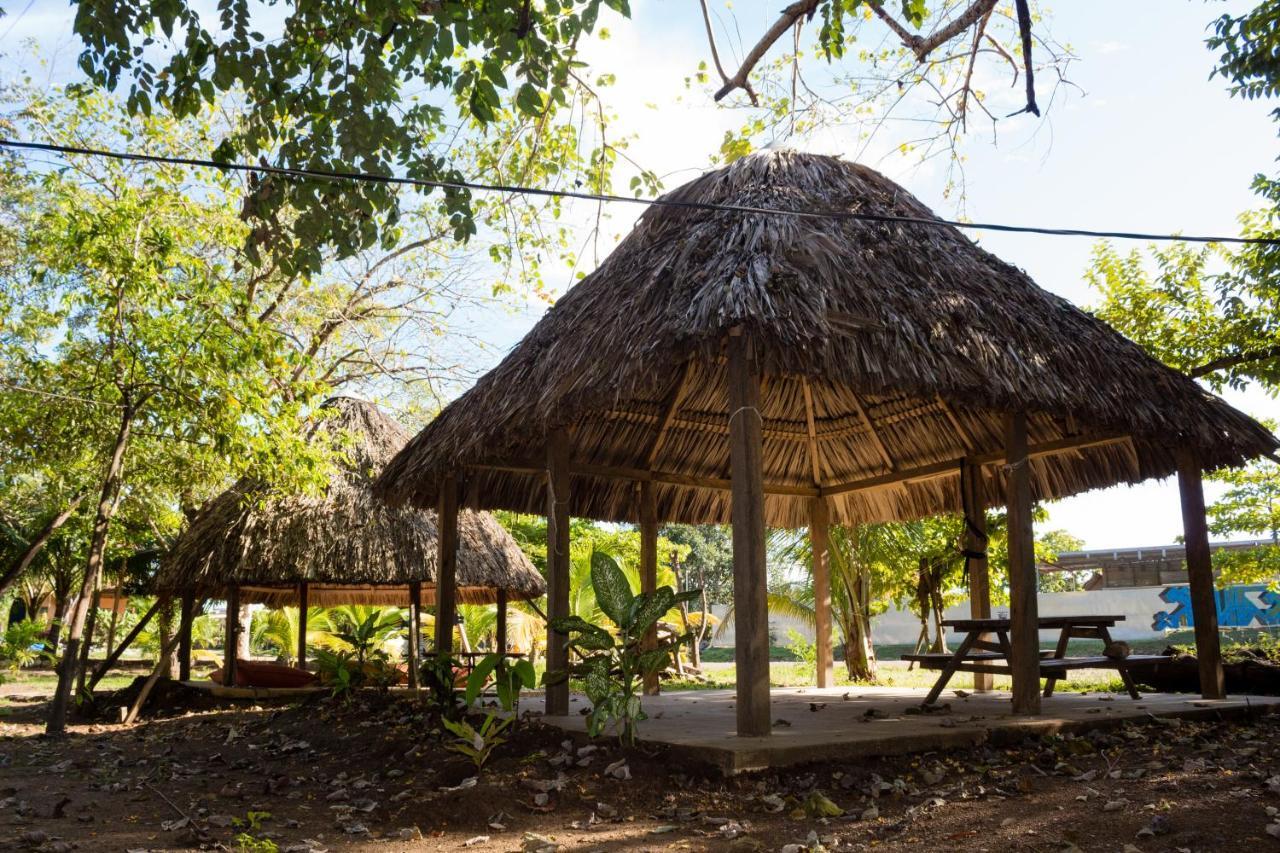 La Choza Playa Venaoホステル エクステリア 写真