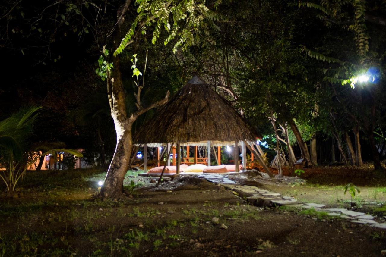 La Choza Playa Venaoホステル エクステリア 写真